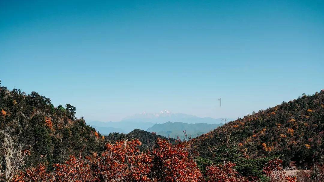决战平安京